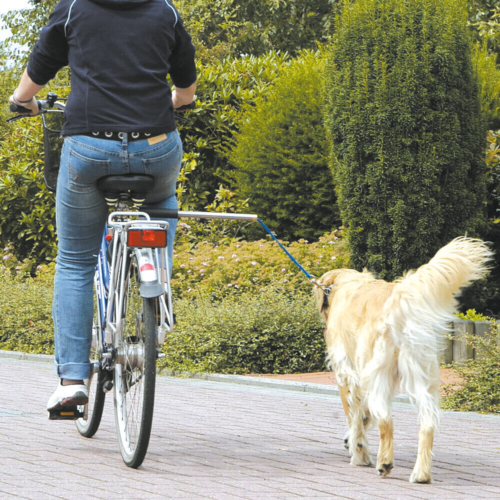 Fahrradfahren mit Hund