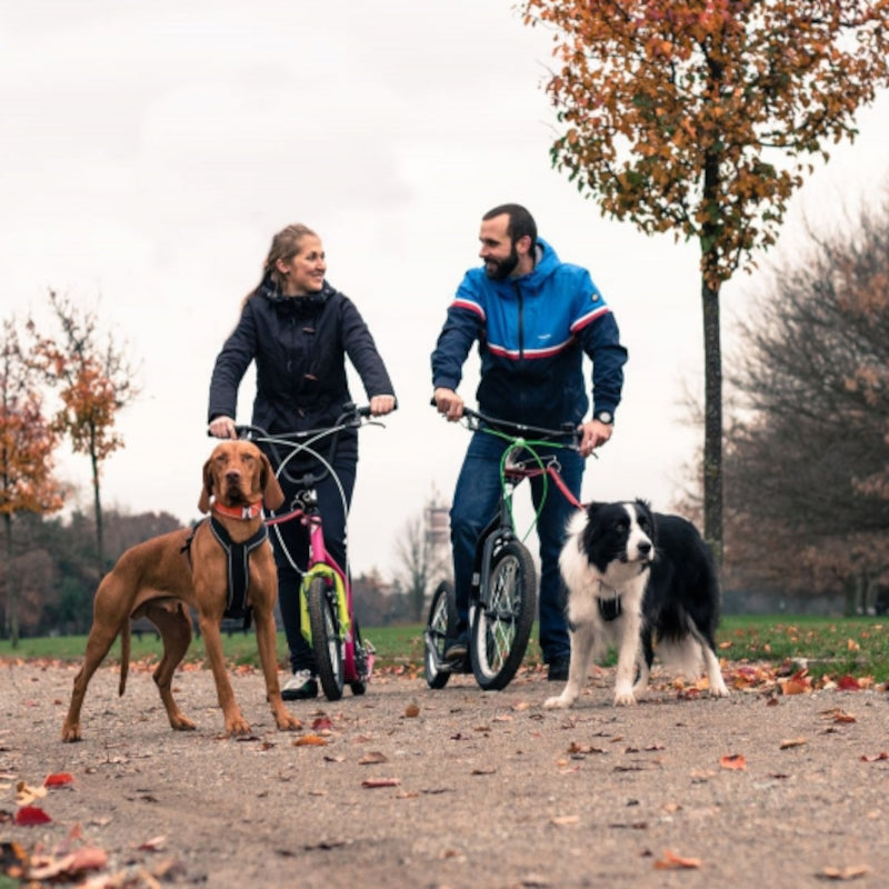 Dogscooting