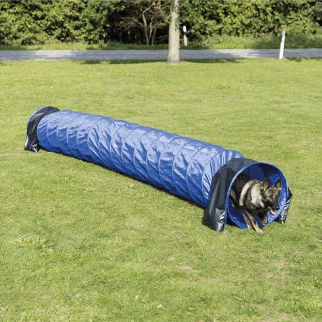 Agility Tunnel für mittlere/größere Hunde